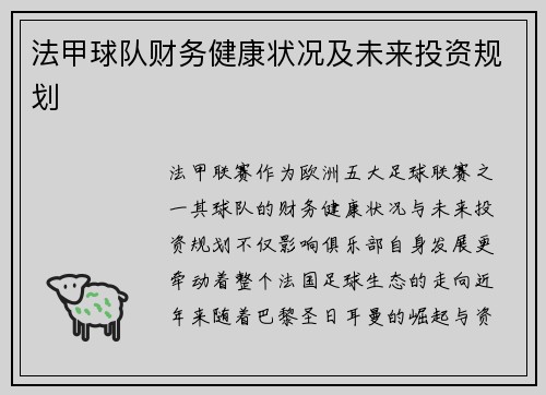 法甲球队财务健康状况及未来投资规划